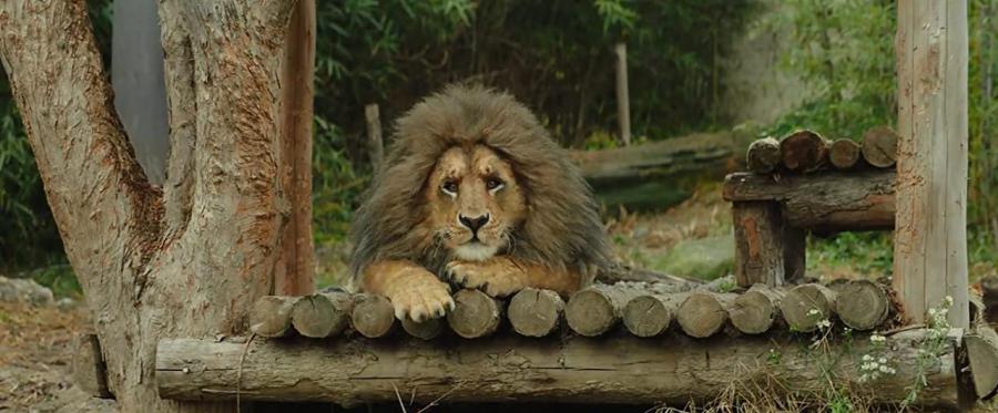 Un zoológico extraordinario